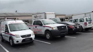 Love Bugs invade On Point Wildlife Removal of Melbourne Florida 5/4/2019