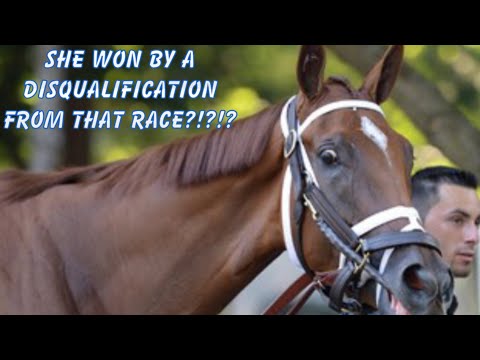 My Reaction To Curalina - 2015 Coaching Club American Oaks