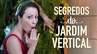 Miniatura do vídeo
