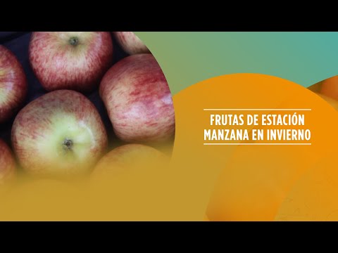 Frutas de estación - Manzana en invierno