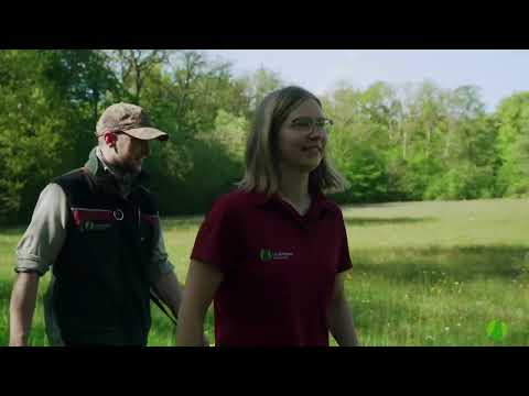 Wasserrückhalt im Wald - Was tut Landesforsten Rheinland-Pfalz?