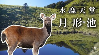 [遊記] 超多水鹿 月形池耍廢3天2夜