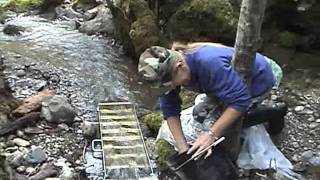 preview picture of video 'Adventures in Gold Prospecting'