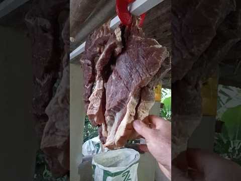 ÓH MINASGERAIS, CARNE DE SOL CURTINDO #nixonmachadovariedades #vidanaroça #bizarro #compartilhe