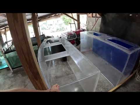 1000 gallon / 3800 liter acrylic fish tank 7ftx6ftx3ft made from one old & one broken tank