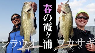 0:16 / 31:16   春はウィンディサイドを狙え！霞ヶ浦の２大パターンを攻略 / 馬場拓也 中根翼【バス釣り】