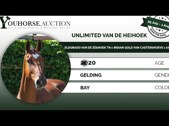 Unlimited van de Heihoek @ home