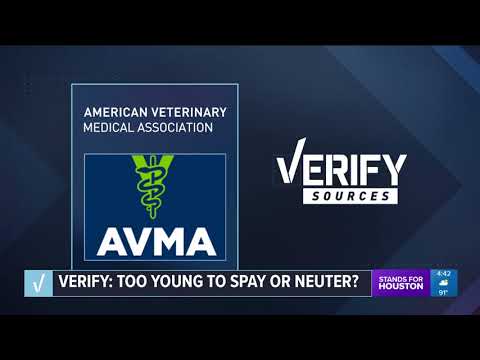 VERIFY: Can spaying an animal at a young age turn fatal?