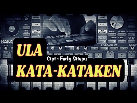 Ula Kata-kataken || Lagu Karo cover ORG 2022