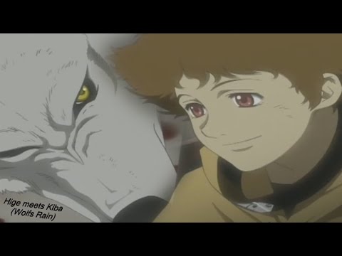 Hige meets Kiba - Wolfs Rain (HD)