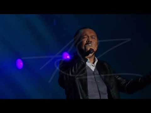 The Fabulous Cats - Bawa Ku Terbang 4k