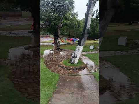 chuva maravilhosa em juvenilia mg