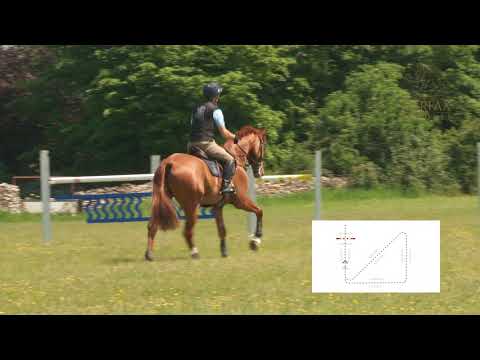Harry Meade Fairfax Masterclass in Minutes - Triangle exercise