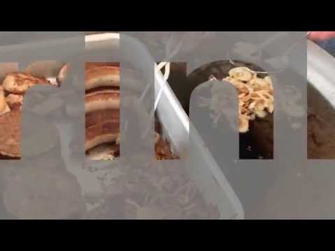 Aviko Toernooi 2013 (Extended version)