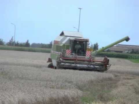 Vergauwe K & P.: Maaidorsen.