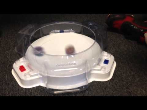[HD] WBO Beyblade Battle: *Ginga* vs. geetster99 - Full Fight (English)
