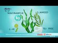 Iklan Marina UV White Hydra Bright 2023 Versi 15s