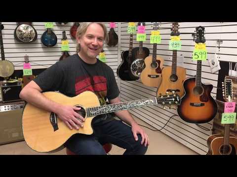 Taylor PS14ce Cocobolo