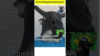 Isenção de IR...economia em alta....