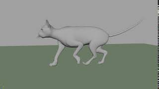 Cat Walk Cycle Test + updates