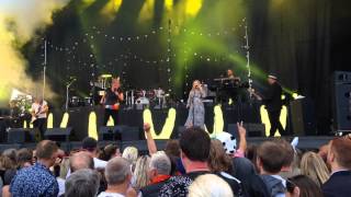 Gnags - Vilde Kaniner