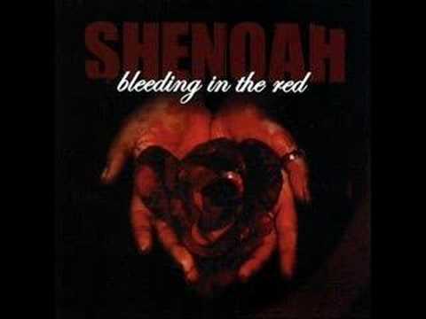 Shenoah - Ashes to Ashes
