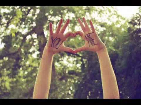 Animal X - Povestea noastră