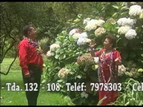 DON GUILLERMO Y SU CONJUNTO CONTRAPUNTO DE CARNAVAL