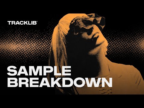 Sample Breakdown: Sia - Elastic Heart