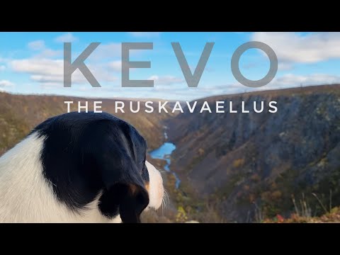 Kevo 2023 | Ruskavaellus lumituiskussa ja patjarikko yöllä | Ruskaretki Lapissa