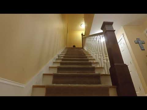 Rc car falling down stairs