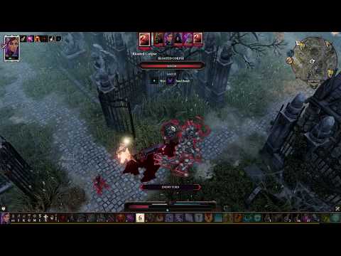 Divinity Original Sin 2  Definitive Edition - honour mode - Rogue Solo Andras the dog