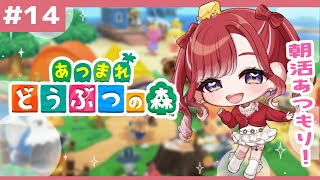 【あつまれどうぶつの森#１４】カブのリベンジ、今回こそは成功させたいです【早乙女ベリー/にじさんじ】