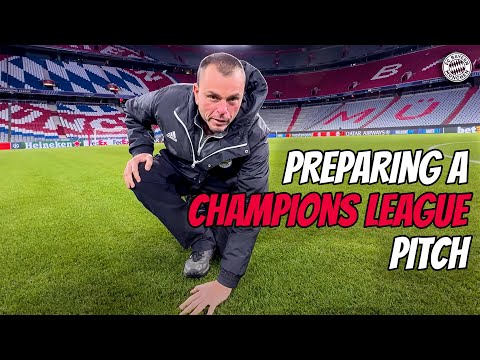 So wird der Rasen für ein Champions League-Spiel vorbereitet! | Unsere Greenkeeper hautnah – BTS