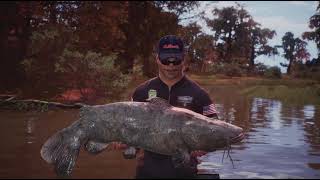 Bassmaster Fishing 2022