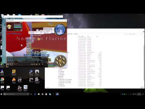 Insanity Flyff - Opening Multiple Clients