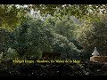 Michael Hoppe  : Shadows, for Walter de la Mare