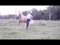 All the Kings Horses- Rhianna & Huey 