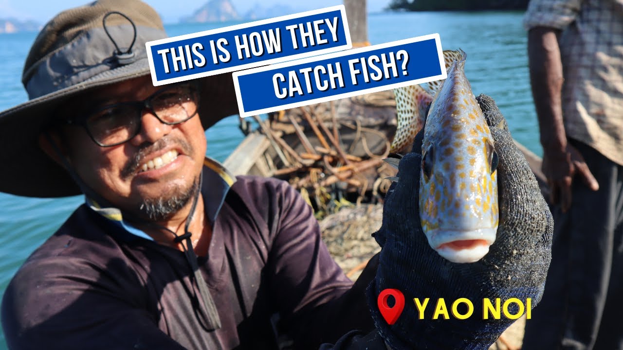 A band of tourists team up with local fishermen, delving into the art of fishing techniques.