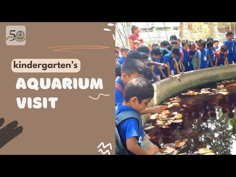 Aquarium Adventures: Guhan Kindergarten Kids Dive into Nature's Wonders! 🐠🌿