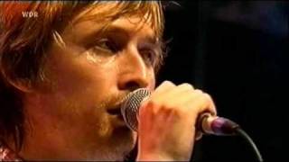 The Divine Comedy - Our Mutual Friend (Haldern Pop Festival 2006)