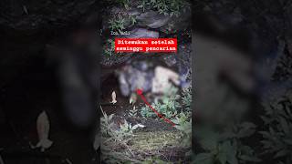 Download lagu Search and Rescue team finds missing mountain climber on Mount Merbabu mp3