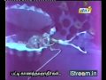 YouTube Aval Oru Navarasa From Ulagam Sutrum Valiban Mp4