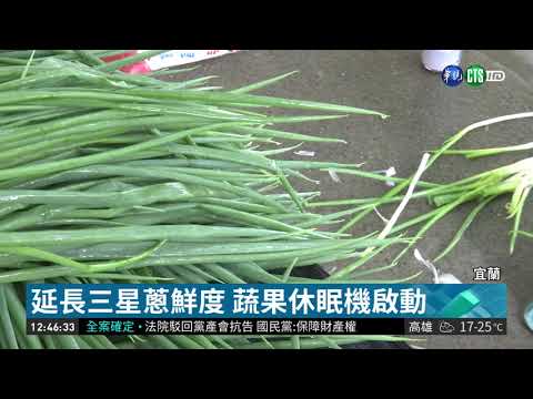 救三星蔥價 全國唯一蔬果休眠機啟動