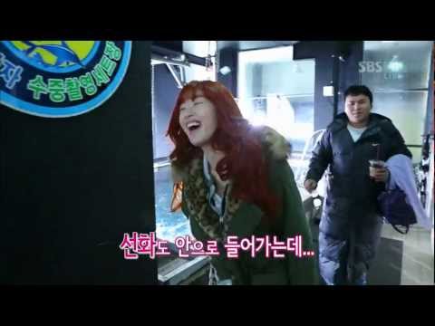 121216 Dazzling Red & Mystic White