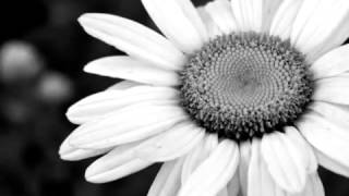 Download lagu Mansur Al Salimi Surah Al Fatiha & Surah Al Lail Amazing recitation mp3 Download lagu Mansur Al Salimi Surah Al Fatiha & Surah Al Lail Amazing recitation mp3