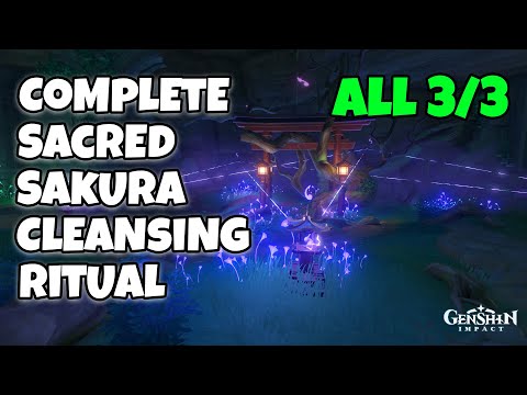 Complete the Sacred Sakura Cleansing Ritual All 3/3 | Genshin Impact