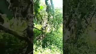 Download lagu story wa lucu dan keren ngopi wey(2) mp3 Download lagu story wa lucu dan keren ngopi wey(2) mp3