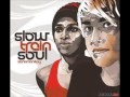 Slow Train Soul - Sexing The Cherry 