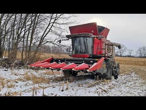 February Corn Harvest and the 1850 Goes to Work